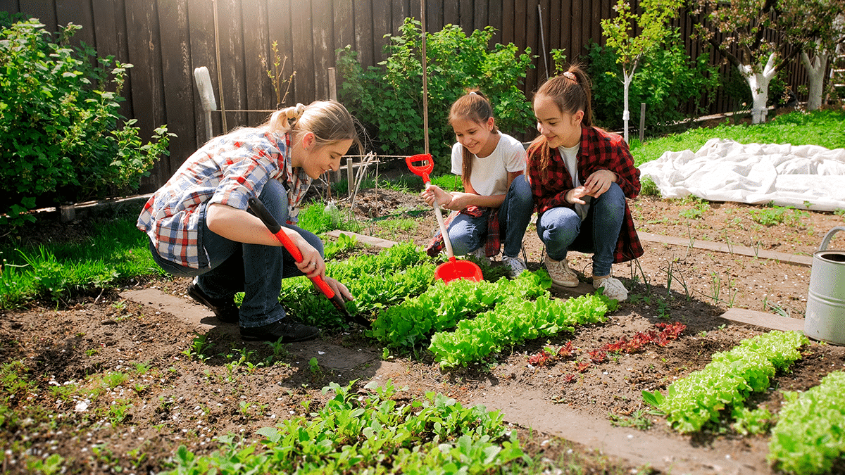 Choosing Plants